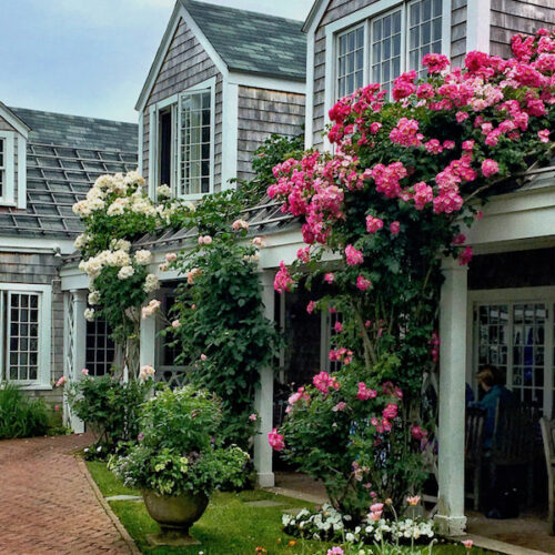 nantucket highlights via Quintessence