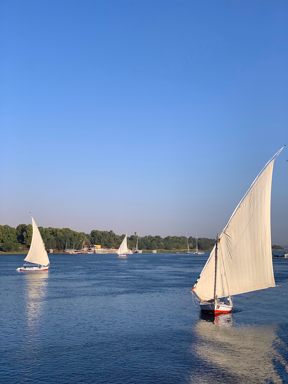 Cruising on the Nile via Quintessence, photo by Susanna Salk