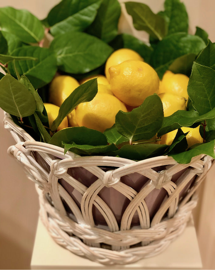 lemons in Alex Papachristidis cachepot for Moda Operandi