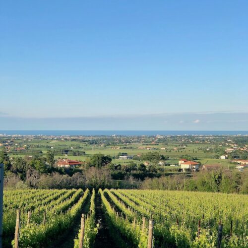 view toward Rimini from San Patrignano-1