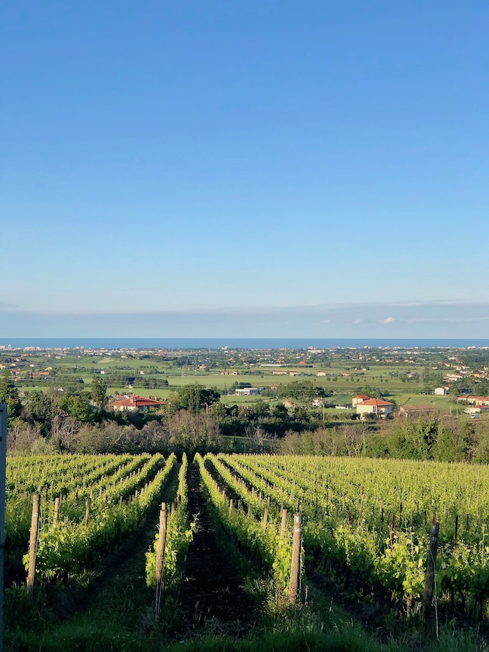 view toward Rimini from San Patrignano-1