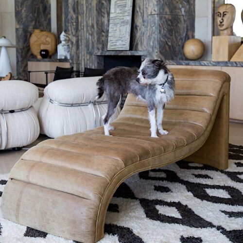 At Home with Dogs and Their Designers