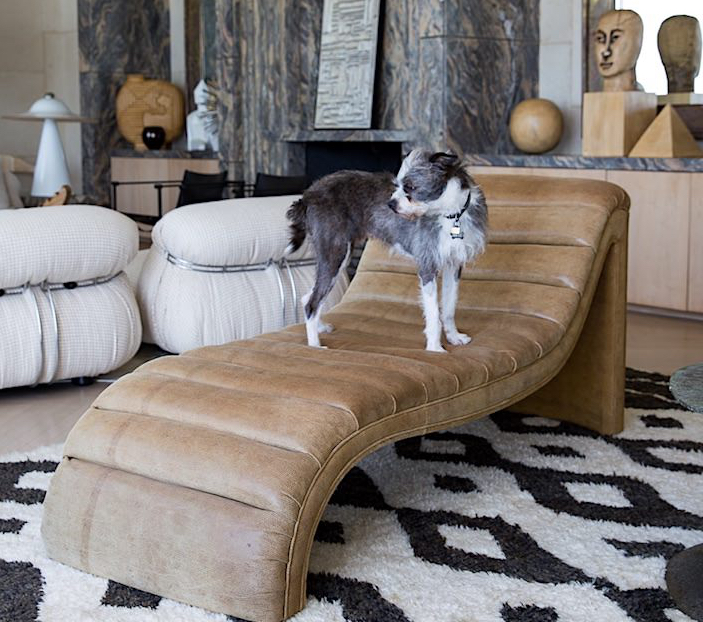 At Home with Dogs and Their Designers